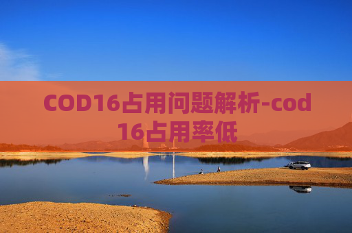 COD16占用问题解析-cod16占用率低 COD16占用问题解析-cod16占用率低