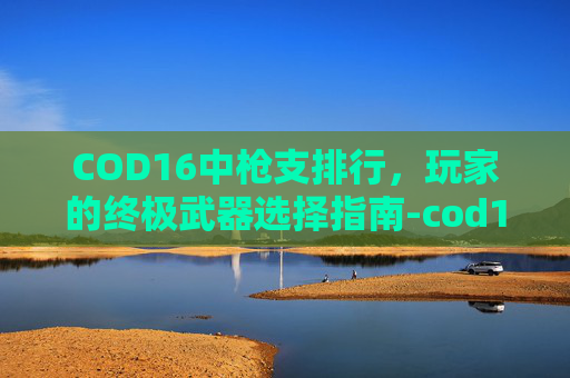 COD16中枪支排行，玩家的终极武器选择指南-cod16枪械排行