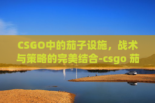 CSGO中的茄子设施,战术与策略的完美结合-csgo 茄子 CSGO中的茄子设施,战术与策略的完美结合-csgo 茄子