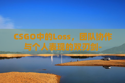 CSGO中的Loss,团队协作与个人表现的双刃剑- CSGO中的Loss,团队协作与个人表现的双刃剑-