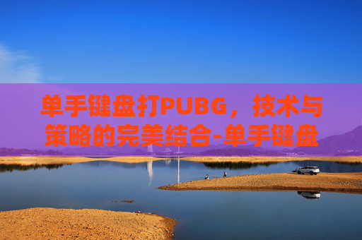 单手键盘打PUBG，技术与策略的完美结合-单手键盘打字
