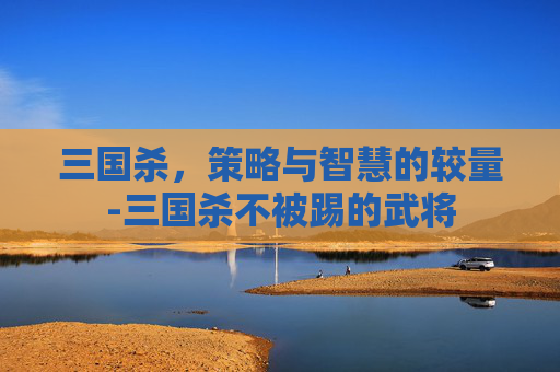 三国杀，策略与智慧的较量-三国杀不被踢的武将