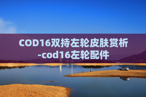 COD16双持左轮皮肤赏析-cod16左轮配件