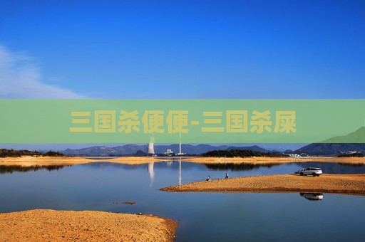 三国杀便便-三国杀屎