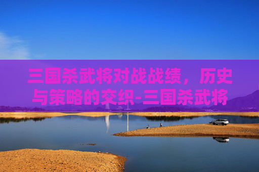 三国杀武将对战战绩，历史与策略的交织-三国杀武将对战战绩查询