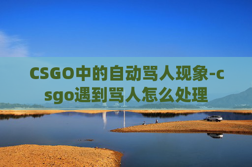 CSGO中的自动骂人现象-csgo遇到骂人怎么处理
