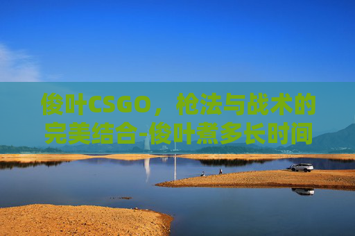 俊叶CSGO，枪法与战术的完美结合-俊叶煮多长时间