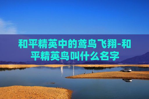 和平精英中的鸢鸟飞翔-和平精英鸟叫什么名字 和平精英中的鸢鸟飞翔-和平精英鸟叫什么名字