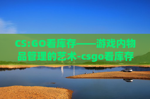 CS:GO看库存——游戏内物品管理的艺术-csgo看库存的软件 CS:GO看库存——游戏内物品管理的艺术-csgo看库存的软件