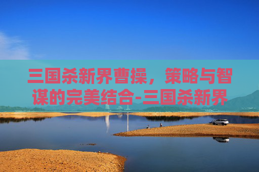 三国杀新界曹操，策略与智谋的完美结合-三国杀新界曹操多少钱