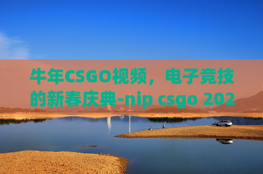牛年CSGO视频,电子竞技的新春庆典-nip csgo 2021 牛年CSGO视频,电子竞技的新春庆典-nip csgo 2021