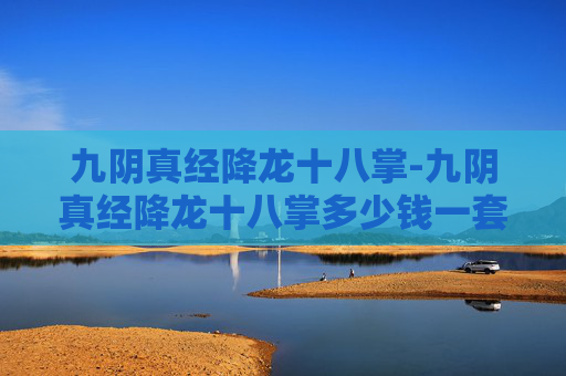 九阴真经降龙十八掌-九阴真经降龙十八掌多少钱一套