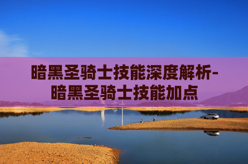 暗黑圣骑士技能深度解析-暗黑圣骑士技能加点
