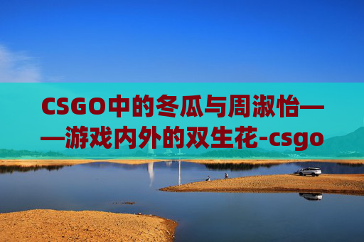 CSGO中的冬瓜与周淑怡——游戏内外的双生花-csgo冬瓜资料