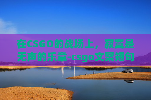 在CSGO的战场上，寂寞是无声的乐章-csgo文案短句