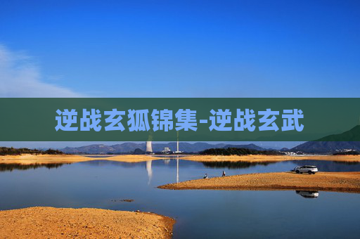 逆战玄狐锦集-逆战玄武