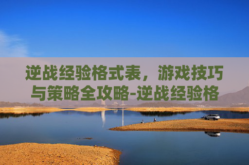 逆战经验格式表，游戏技巧与策略全攻略-逆战经验格式表怎么看