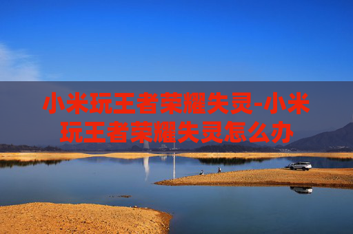 小米玩王者荣耀失灵-小米玩王者荣耀失灵怎么办