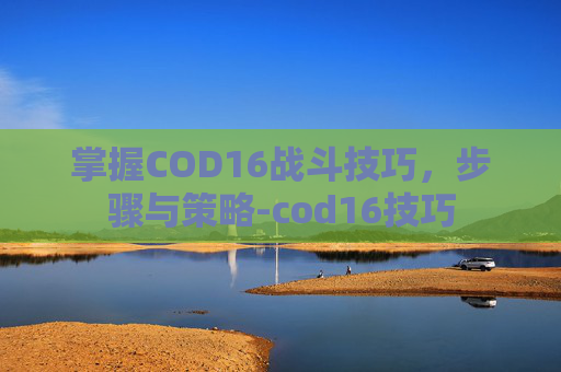 掌握COD16战斗技巧，步骤与策略-cod16技巧