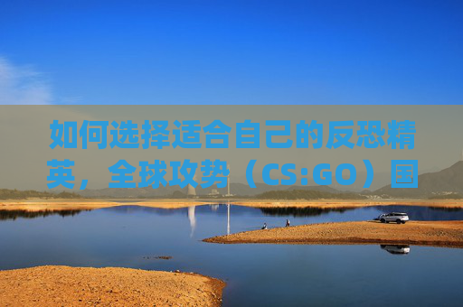 如何选择适合自己的反恐精英，全球攻势（CS:GO）国际服-csgo选国际服还是国服界面