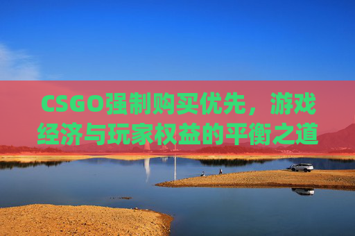 CSGO强制购买优先，游戏经济与玩家权益的平衡之道-csgo新版购买优先