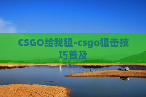 CSGO给我狙-csgo狙击技巧普及
