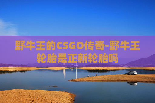 野牛王的CSGO传奇-野牛王轮胎是正新轮胎吗 野牛王的CSGO传奇-野牛王轮胎是正新轮胎吗