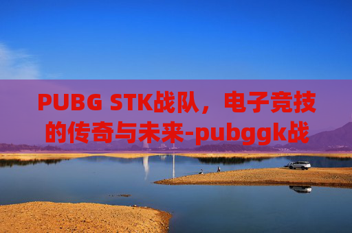 PUBG STK战队，电子竞技的传奇与未来-pubggk战队