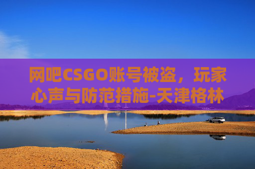 网吧CSGO账号被盗，玩家心声与防范措施-天津格林国际幼儿园学费