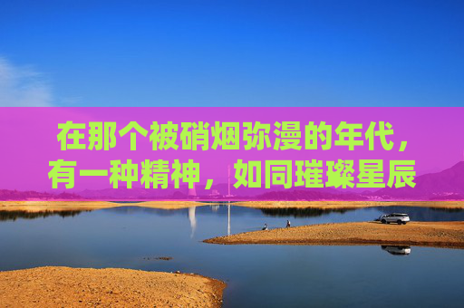 在那个被硝烟弥漫的年代，有一种精神，如同璀璨星辰，照亮了历史的长河。它不是简单的英勇无畏，而是对生命价值的深刻理解和对自由意志的坚定追求。这种精神，就是逆战潇洒。-逆战潇洒哥
