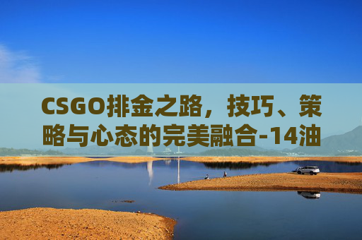 CSGO排金之路，技巧、策略与心态的完美融合-14油耗投多少钱一公里