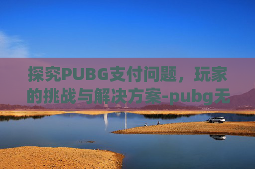 探究PUBG支付问题，玩家的挑战与解决方案-pubg无法支付