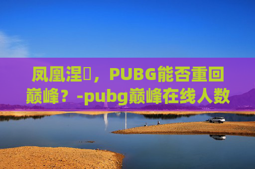 凤凰涅槃，PUBG能否重回巅峰？-pubg巅峰在线人数