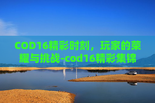 COD16精彩时刻，玩家的荣耀与挑战-cod16精彩集锦