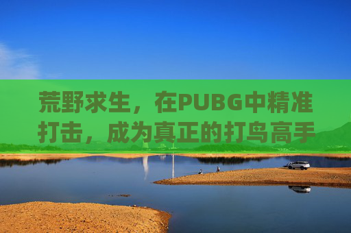 荒野求生，在PUBG中精准打击，成为真正的打鸟高手-pubg打法